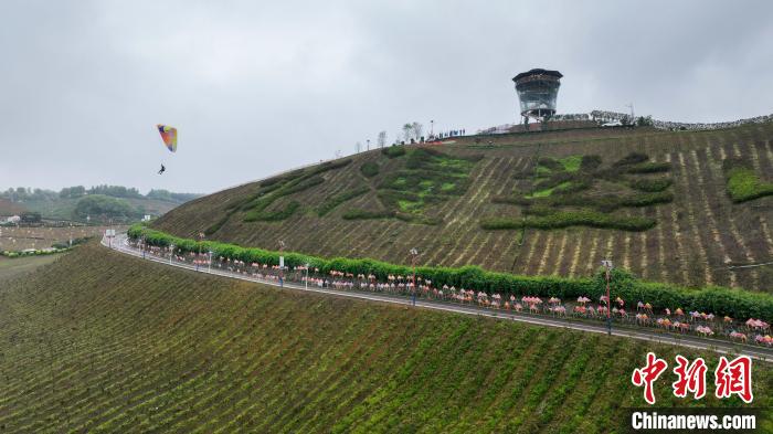 云南选手肖正权夺冠 新疆杨苗揽女子组冠军