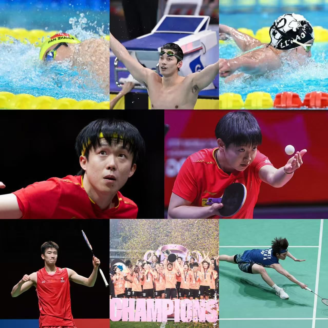 多哈世乒赛国乒揽4金 游泳潘展乐创纪录 国羽四